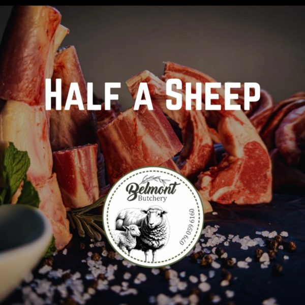 Half a Sheep