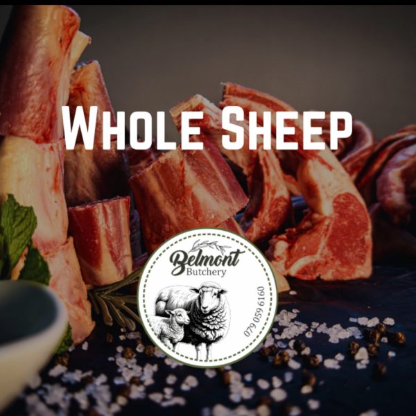 Whole Sheep